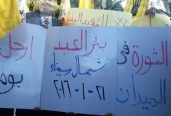 سيناء: مسيرة مناهضة للانقلاب بـ "بئر العبد" بختام أسبوع "الوفاء للثورة"