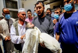 ارتفاع عدد شهداء العدوان على غزة إلى 181 بينهم 52 طفلا و31 سيدة