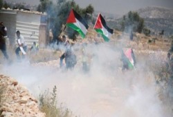 إصابات بمواجهات مع الاحتلال ومستوطنيه في جبل العالم بنعلين