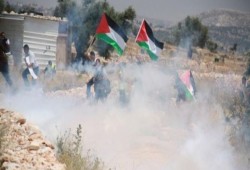 إصابات بمواجهات مع الاحتلال ومستوطنيه في جبل العالم بنعلين