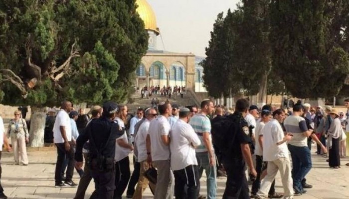 عشرات المستوطنين يتقدمهم المتطرف "غليك" يقتحمون الأقصى