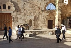 138 مستوطناً يقتحمون المسجد الأقصى  بحراسة شرطة الاحتلال