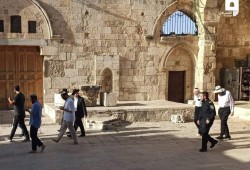 138 مستوطناً يقتحمون المسجد الأقصى  بحراسة شرطة الاحتلال
