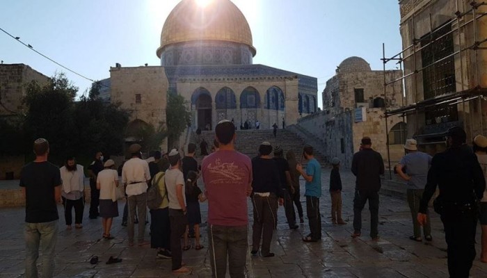 88 مستوطنًا يقتحمون "الأقصى" بحماية شرطة الاحتلال