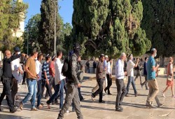 85 مستوطنا يقتحمون المسجد الأقصى