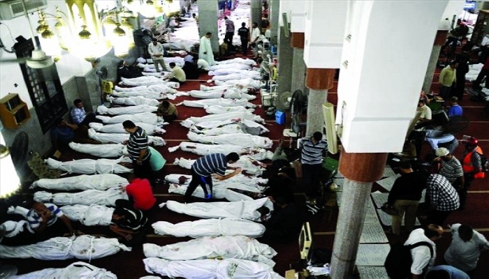 الشهاب لحقوق الإنسان يطالب بمحاكمة مرتكبي مذبحة رابعة