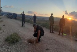 المقاومة وصفته بالانتصار الجديد: هروب 6 أسرى فلسطينيين من سجن إسرائيلي عبر نفق