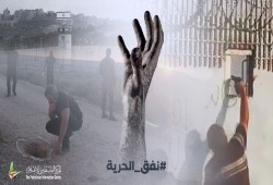 عملية نفق الحرية.. تواصل إرباك منظومة الأمن الإسرائيلية