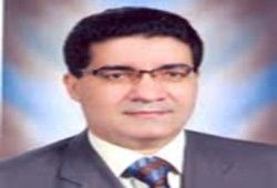الاستثمار في السجون في مصر