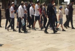 عشرات المستوطنين يقتحمون الأقصى واعتقال موظف أوقاف
