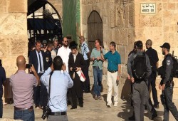 مستوطنون يقتحمون الأقصى والاحتلال يستدعي موظف أوقاف