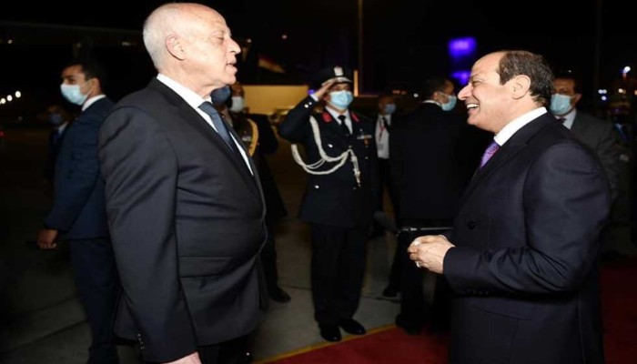 على خطى السيسي.. سعيد يتطلع لأرز الخليج