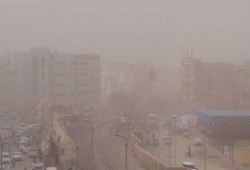 مصرع 3 وإصابة 500 بلدغ عقارب جراء عاصفة نادرة بأسوان