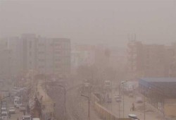 مصرع 3 وإصابة 500 بلدغ عقارب جراء عاصفة نادرة بأسوان