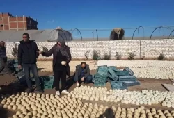 الفساد في عهد الانقلاب: مصنع ينتج الجبن من دهانات الحوائط!!