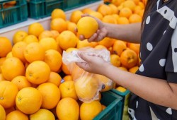 مصدري البرتقال في مصر يتعرضون لخسائر فادحة