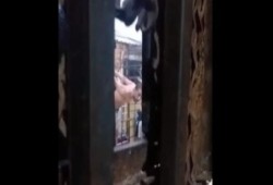 أمن الانقلاب يخفي قسريا سجناء تسريب مركز شرطة السلام.. وذويهم يتخوفون على حياتهم