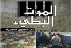 إجرام الانقلاب: الإهمال الطبي يقتل المعتقلين بالبطيء