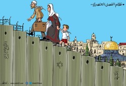 نظام الفصل العنصري