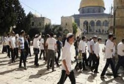 مستوطنون يقتحمون باحات الأقصى