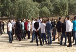 عشرات المستوطنين يقتحمون "الأقصى"