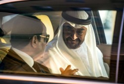 وداعا للدعم المجاني.. هكذا تستحوذ الإمارات على السوق المصري