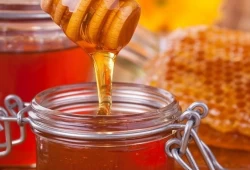 رقائق حاسوبية من العسل .. ثورة جديدة في عالم التكنولوجيا