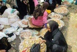 فى عهد السيسي .. أرجل الدجاج ملاذ الفقراء