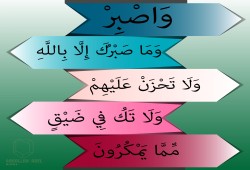 الصبر على مشاق الدعوة إلى الله