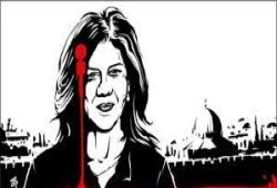 الأزهر يدين اغتيال الصحفية الفلسطينية شيرين أبو عاقلة