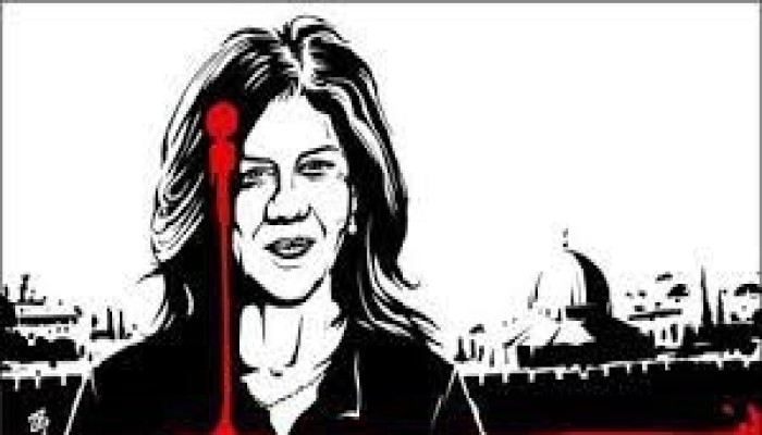 الأزهر يدين اغتيال الصحفية الفلسطينية شيرين أبو عاقلة
