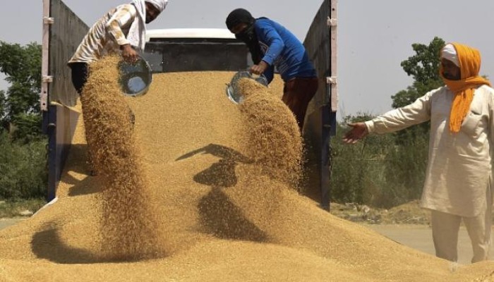 ارتفاع أسعار القمح عالميا بعد قرار الهند حظر التصدير