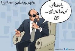 السيسي يعرض أصول مصر للبيع