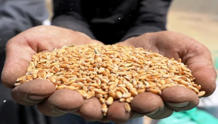 تمويل بـ 1.5 مليار دولار لتجنب أزمة الغذاء في إفريقيا‎‎