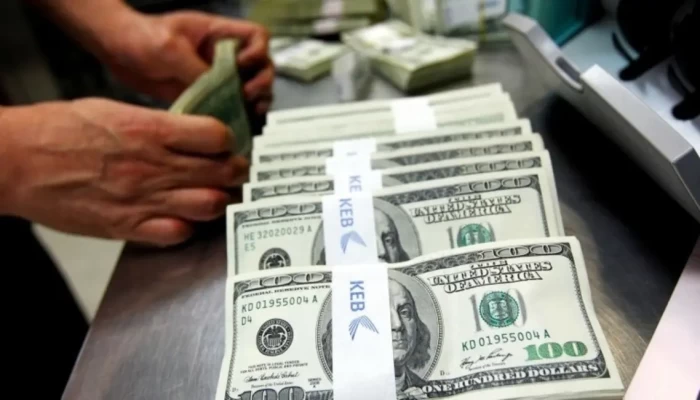 3 آثار سلبية بعد رفع الدولار الجمركي في مصر