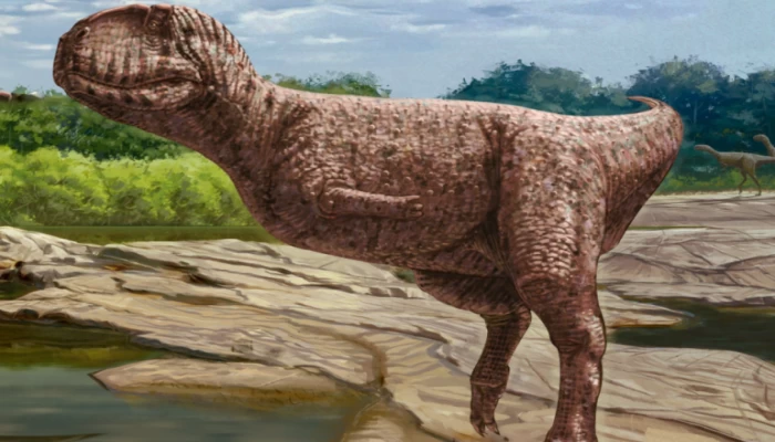 العثور على حفرية ديناصور عاش في مصر قبل 98 مليون عام