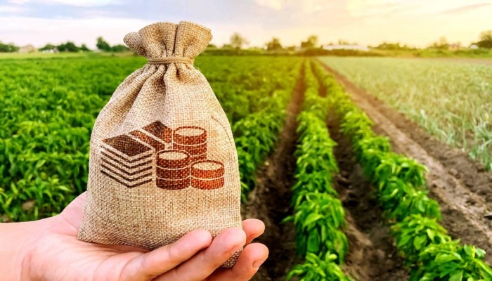 أسوأ أزمة منذ 100 عام.. هل تنجح مصر في الهروب من الجوع؟