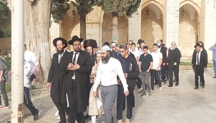 122 مستوطنًا يقتحمون المسجد الأقصى