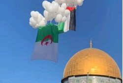 خطيب العيد بالجزائر: فرحتنا بالاستقلال مقترنة بتحرير الأقصى