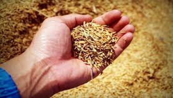 الغارديان تحذر من أزمة الغذاء العالمية
