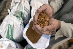 المونيتور: فرنسا وروسيا ورومانيا يتصدرون مصدر القمح في مصر