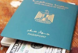 هربا من الظلم والتجويع .. 20.3% زيادة بأرقام المصريين الراغبين بجنسيات أخرى