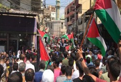 وقفات بمخيمات لبنان تنديدًا بجرائم الاحتلال بغزة والضفة