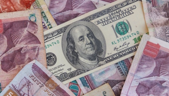 بنك عالمي يتوقع انهيار الجنيه قريباً.. الدولار بـ22