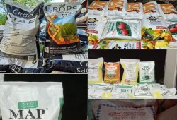 بعد الاستحواذ السعودي الإماراتي .. الفلاح المصري يتحضر لرفع جديد لأسعار الأسمدة