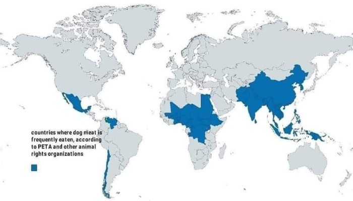 بالتزامن مع تخفيض باللحوم البرازيلي.. (بيتا): مصر بين دول تأكل الكلاب!