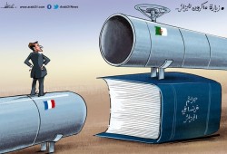 زيارة ماكرون للجزائر