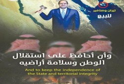 لماذا غاب "بن سلمان" عن قمة السيسي بالعلمين ؟