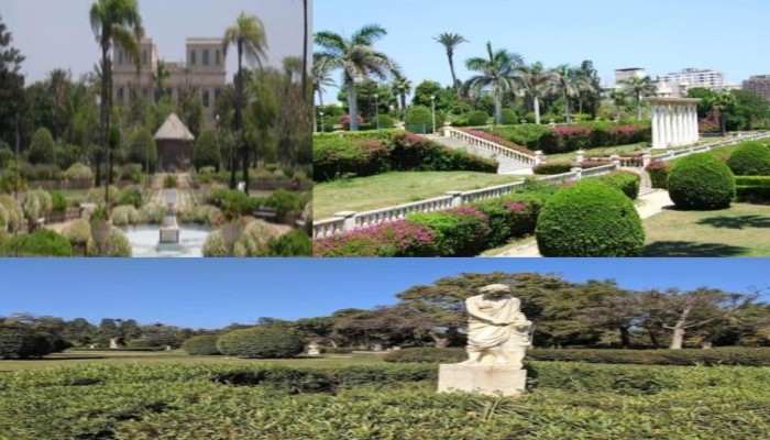 ناشطون يعبرون عن انزعاجهم من مذبحة أشجار بحديقة أنطونيادس بالإسكندرية