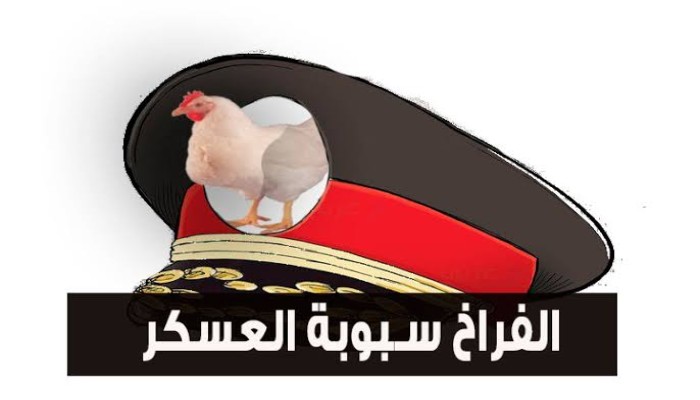 زيادة الاعلاف الجنونية ترجح ارتفاعا للبيض والدواجن .. وإعفاء إنتاج الجيش يدمر الصناعة